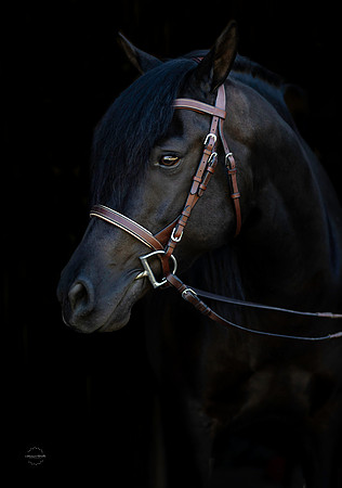 0A7A3161-Edit