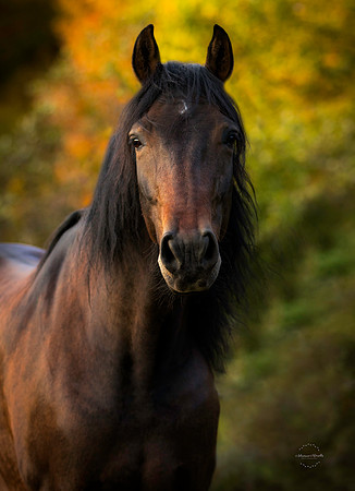 IMG_5820-2-Edit