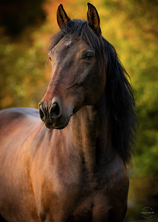 IMG_5822-2edit