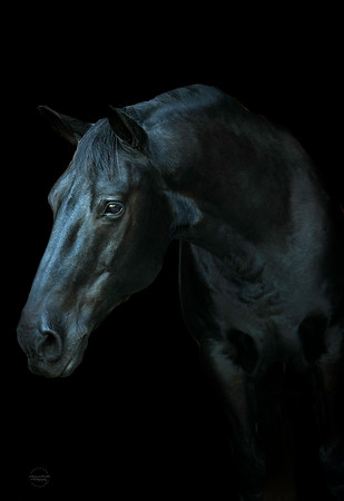 0A7A1776-Edit