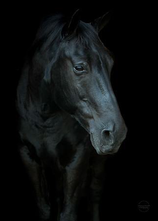 0A7A1749-Edit