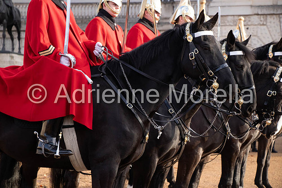 Royal Guard with Red Coat