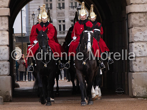 Royal Guard Horses England