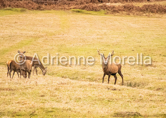 IMG_4031edit