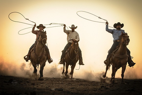 Round Em Up!