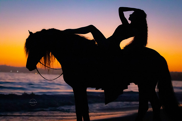 Sexy Lady on Top a Horse on the Beach