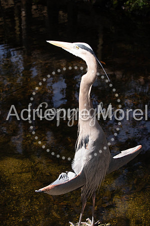 IMG_7022