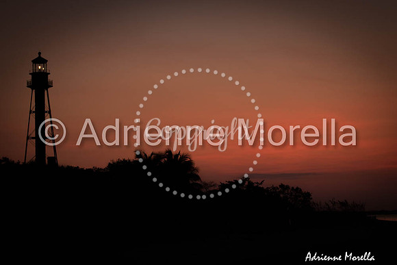 IMG_4757 - Copy